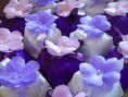 /album/galeria-de-fotos/com%20aplica%c3%a7%c3%a3o%20de%20flor-jpg/
